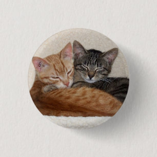 Rond 2,50 Cm Bouton Cute Tabby Kittens / Badge