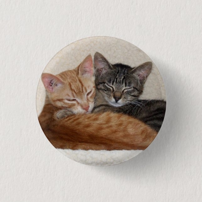 Rond 2,50 Cm Bouton Cute Tabby Kittens / Badge (Devant)