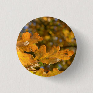Rond 2,50 Cm Bouton Feuille de chêne d'automne / Badge