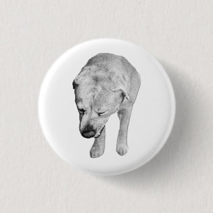Rond 2,50 Cm Éclat de fête, Badge de laboratoire ombragé