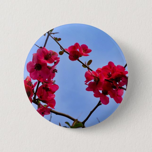 Rond 5 Cm Badge Chaenomeles speciosa (Devant)