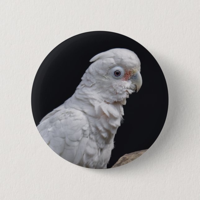 Rond 5 Cm Badge de Cockatoo de Goffin (Devant)