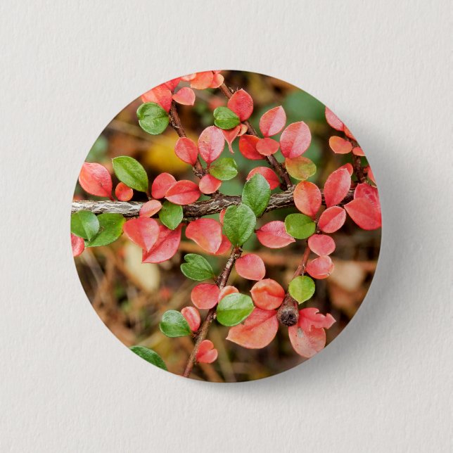 Rond 5 Cm Badge de Cotonou horizontalis (Devant)