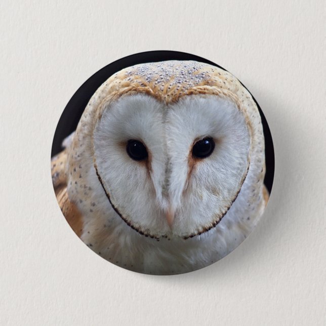 Rond 5 Cm Badge de la Chouette (Devant)
