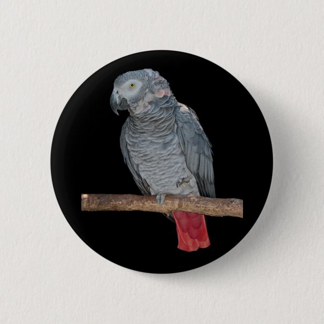 Rond 5 Cm Badge de perroquet Pesky (Devant)