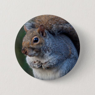 Rond 5 Cm Badge d'écureuil gris