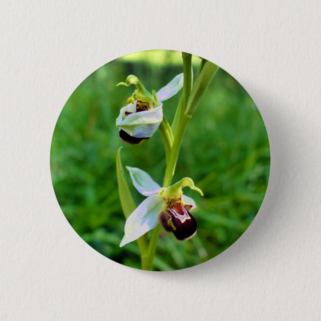 Rond 5 Cm Badge d'orchidée d'abeille (Devant)