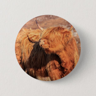 Rond 5 Cm Badge du bouton de la vache de Highland