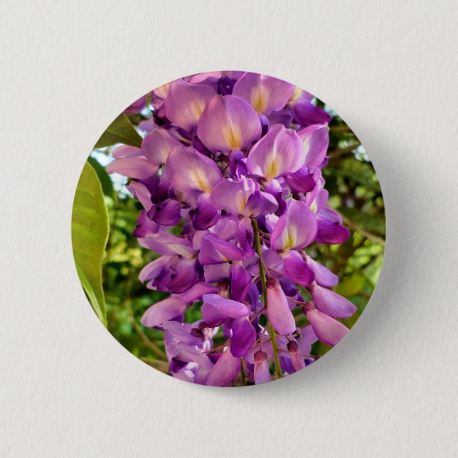 Rond 5 Cm Badge en fleur de Wisteria (Devant)