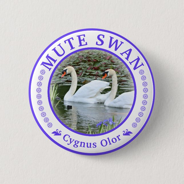 Rond 5 Cm Badge en forme de cygne tuberculé (Devant)
