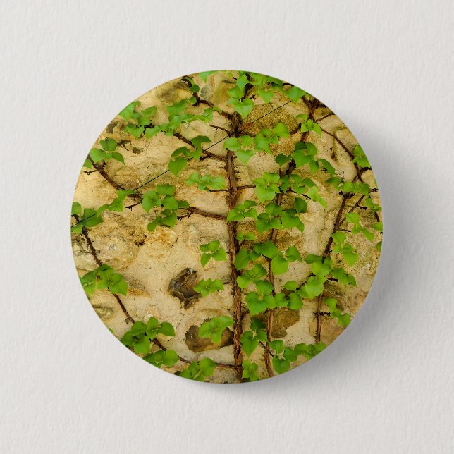 Rond 5 Cm Badge Hydrangea petiolaris (Devant)