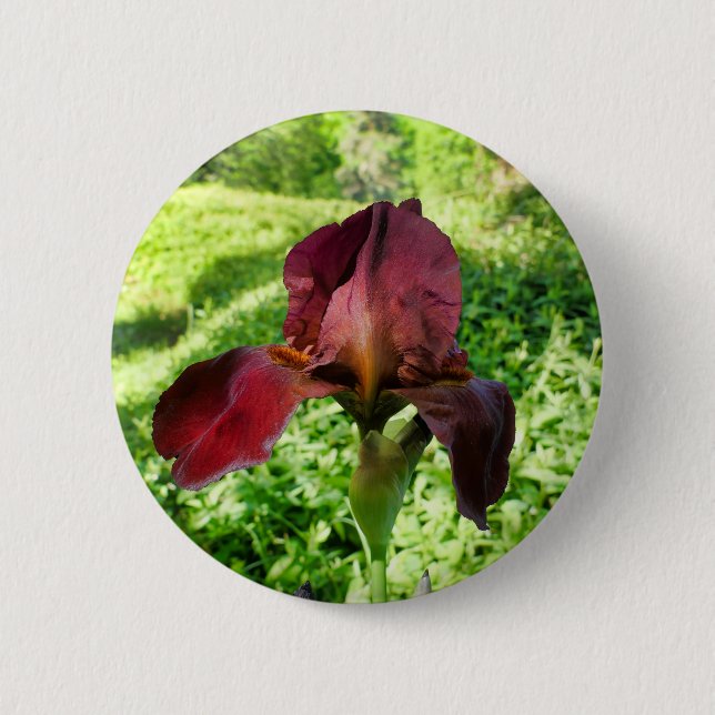 Rond 5 Cm Badge Iris Learé (Devant)