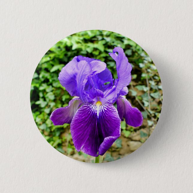 Rond 5 Cm Badge Iris Learé (Devant)