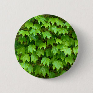 Rond 5 Cm Badge Ivy de Boston