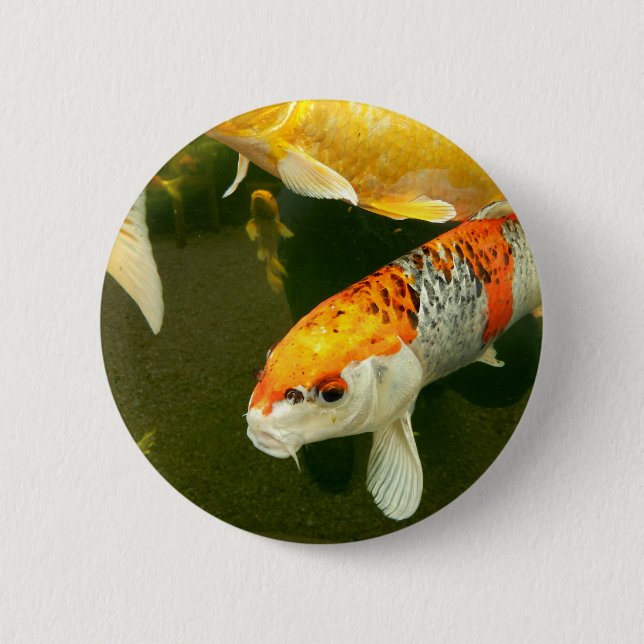 Rond 5 Cm Badge Koi Carp (Devant)