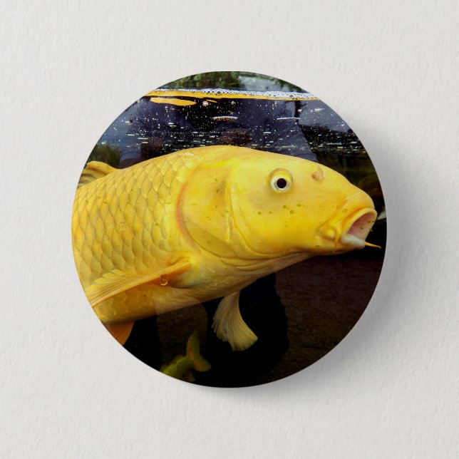 Rond 5 Cm Badge Koi Carp (Devant)