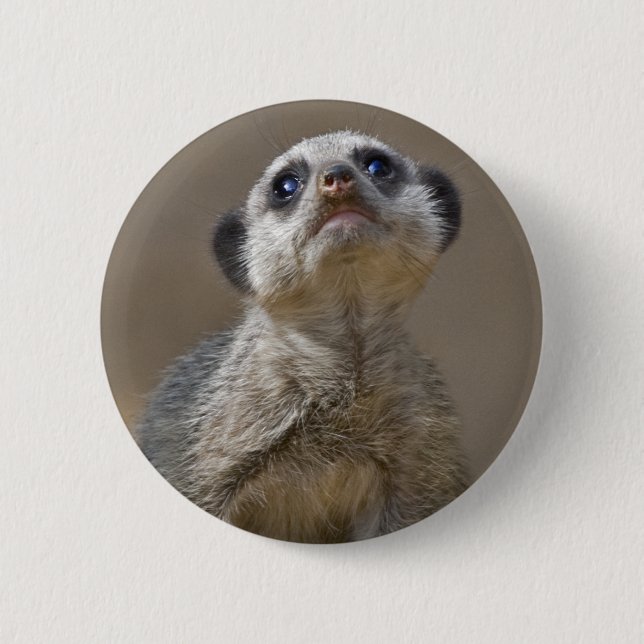 Rond 5 Cm Badge Kute Kat (Devant)