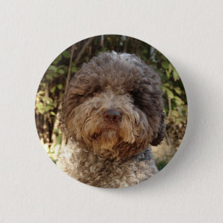 Rond 5 Cm badge lagotto-romagnolo