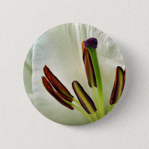 Rond 5 Cm Badge Lilium Oriental Blanc