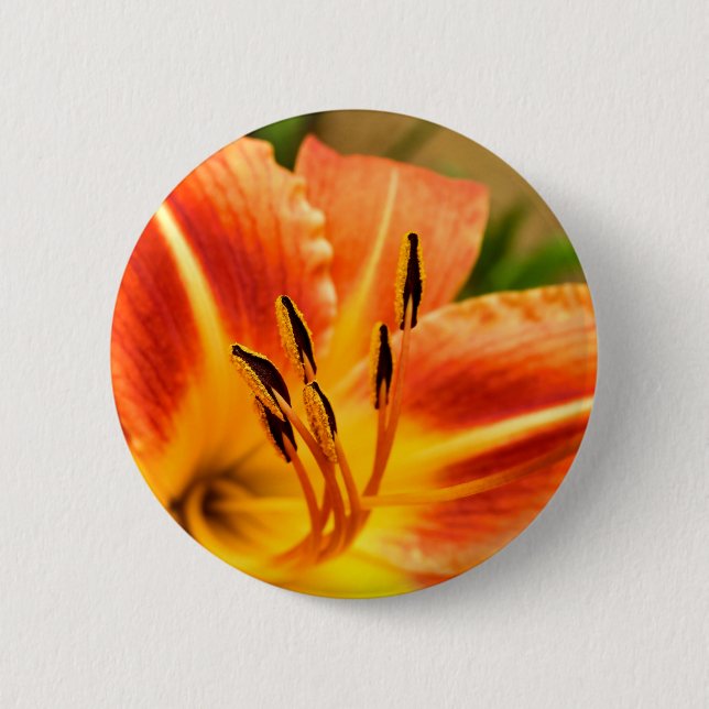 Rond 5 Cm Badge Lily Orange Tiger (Devant)