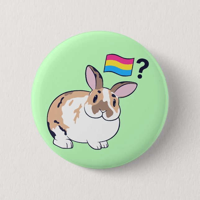 Rond 5 Cm Badge Paddy Pride (Pansexual) (Devant)