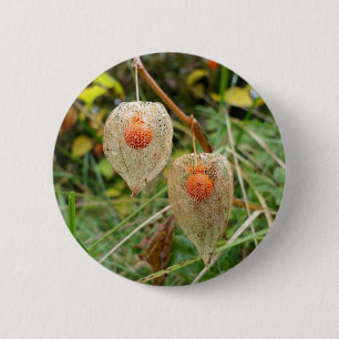 Rond 5 Cm Badge Physalis alkekengi