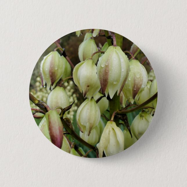 Rond 5 Cm Badge Plante du Yucca (Devant)