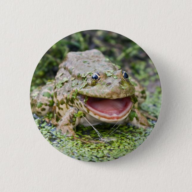 Rond 5 Cm Badge Prince Grenouille (Devant)