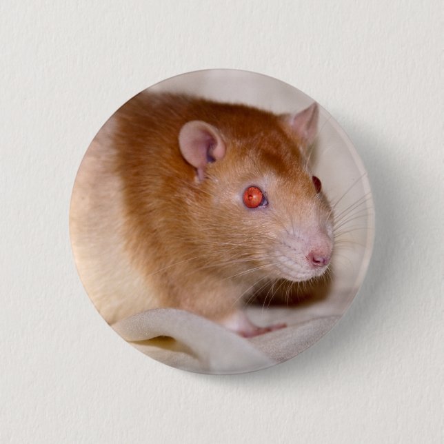 Rond 5 Cm Badge Rolando (Devant)