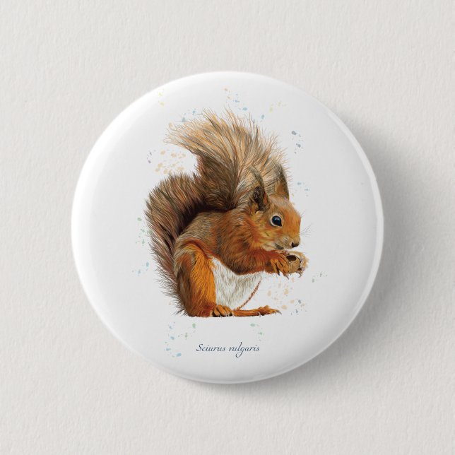 Rond 5 Cm Badge ronde de 6cm avec écureuil rouge (Devant)