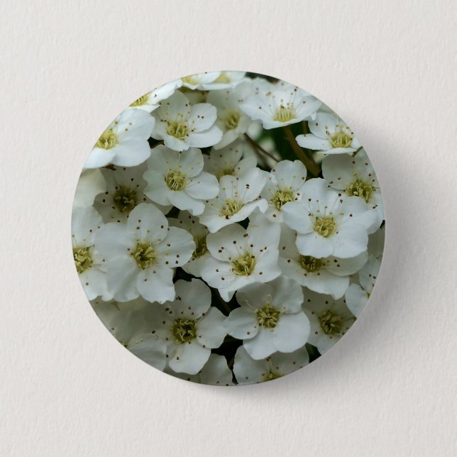 Rond 5 Cm Badge Spirea Arguta (Devant)