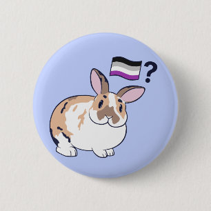 Rond 5 Cm Paddy Pride Badge (Aexuel)