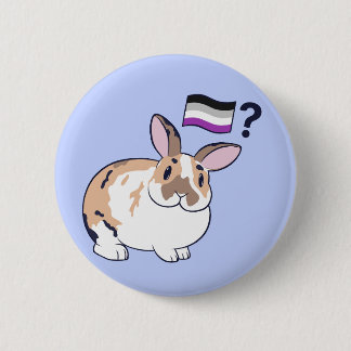 Rond 5 Cm Paddy Pride Badge (Aexuel)