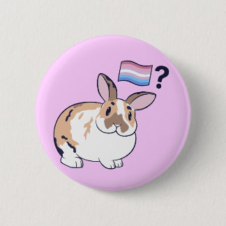 Rond 5 Cm Paddy Pride Badge (Bigender)