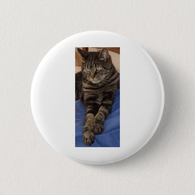 Rond 5 Cm Regal Dave Badge (Devant)