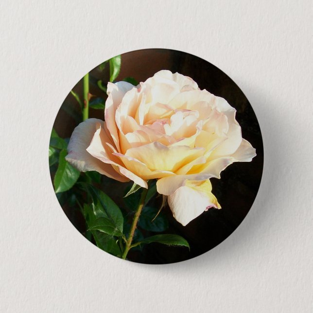 Rond 5 Cm Rose Button or Badge (Devant)
