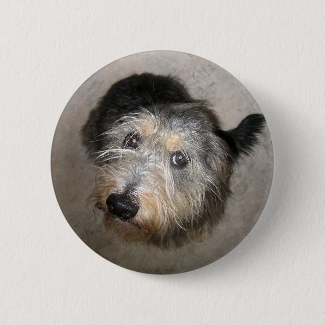 Rond 5 Cm Scruffy mignon chien badge (Devant)