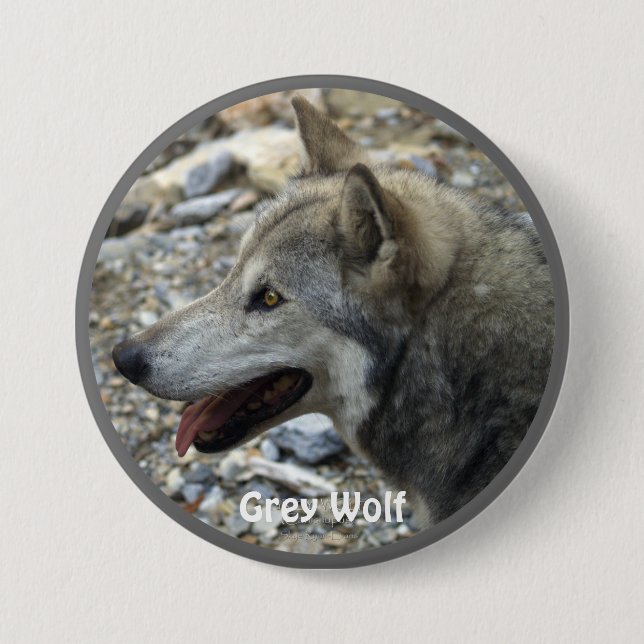 Rond 7,6 Cm Badge du collecteur amoureux de la faune du loup g (Devant)