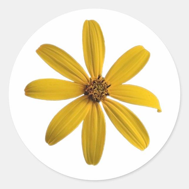 Rond A Yellow Wildflower Sticker (Devant)