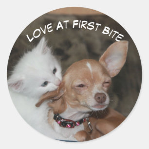 Rond Aimer Bite Kitty Et Sticker De Chiot