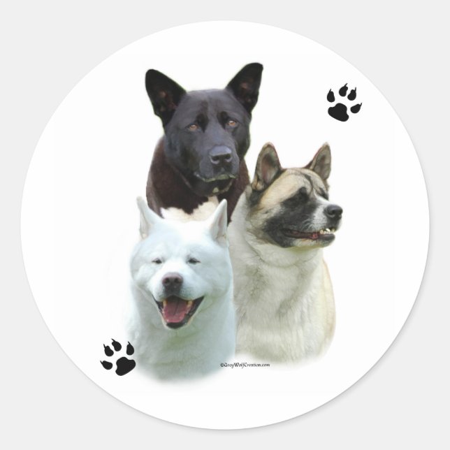 Rond Akita Trio - Sticker (Devant)