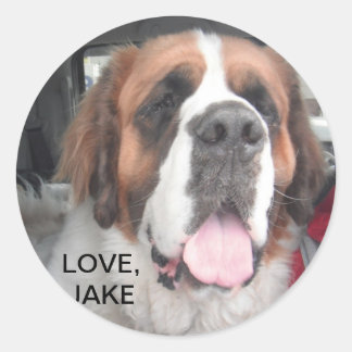 ROND AMOUR, JAKE STICKER