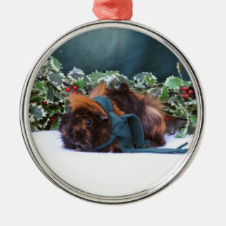 Rond Argenté Ornement de cobaye de Noël