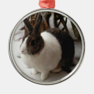 Rond Argenté Ornement de lapin