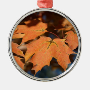 Rond Argenté Ornement des feuilles d'automne