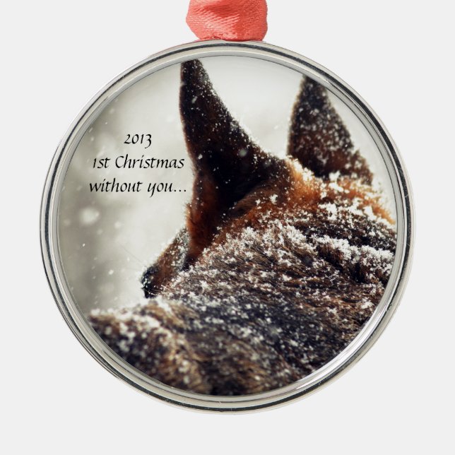 Rond Argenté Ornement perdu d'animal familier (Devant)