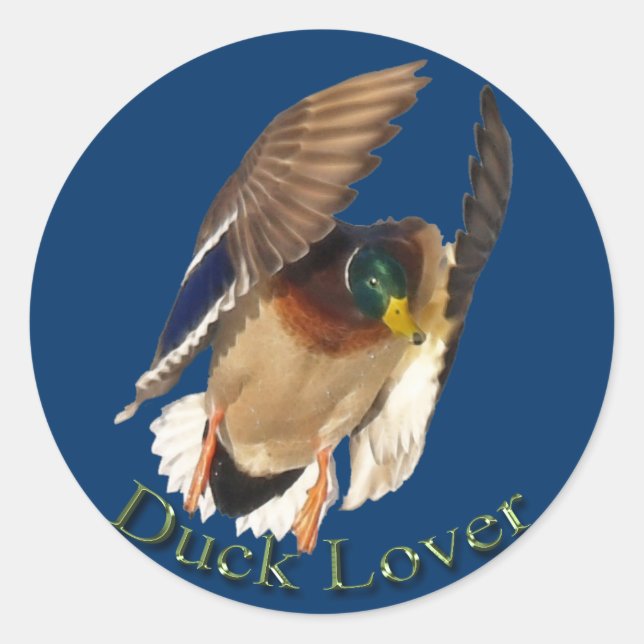 Rond Atterrissage de Mallard Duck Drake Oiseau Sticker  (Devant)