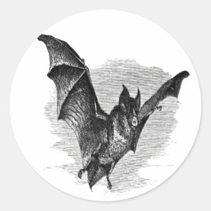 Rond Bat Sticker