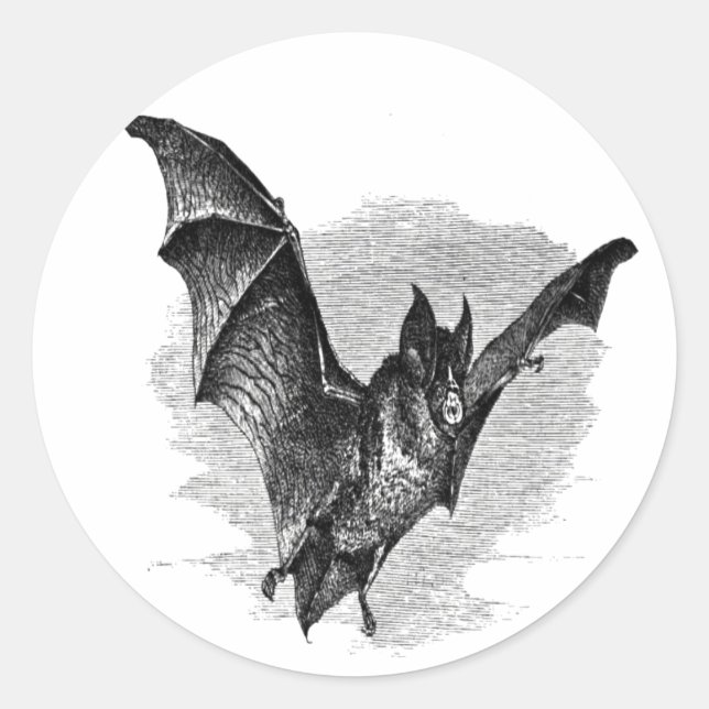 Rond Bat Sticker (Devant)