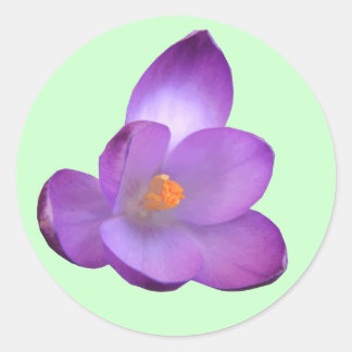 Rond Beau Sticker Crocus